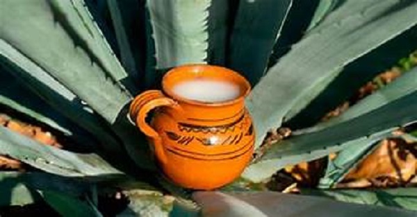 Feria del Pulque presenta: “Fiesta del Pulque”