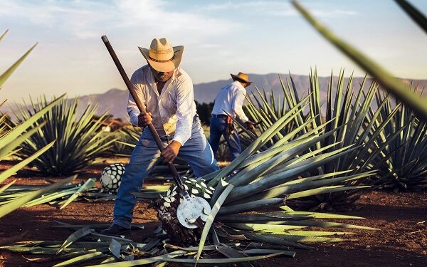 En el Tianguis Turístico, Jose Cuervo Presenta “La Puerta al Mundo del Tequila”