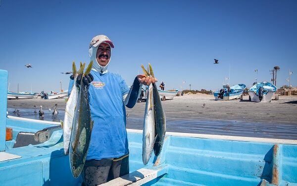 Es deficiente el combate a la pesca ilegal en México: Oceana