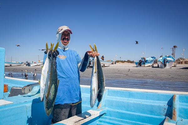 Es deficiente el combate a la pesca ilegal en México: Oceana
