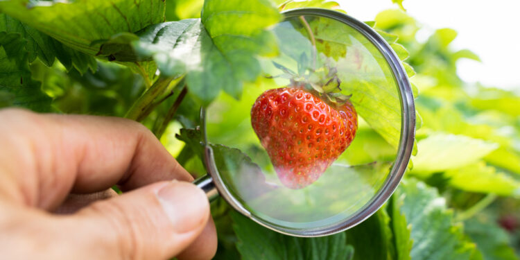 Everyday Foods That Aren't Really What They Seem
