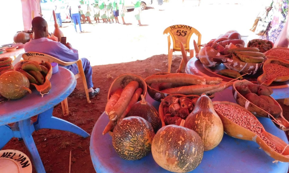 Mainstream forgotten African foods, says report
