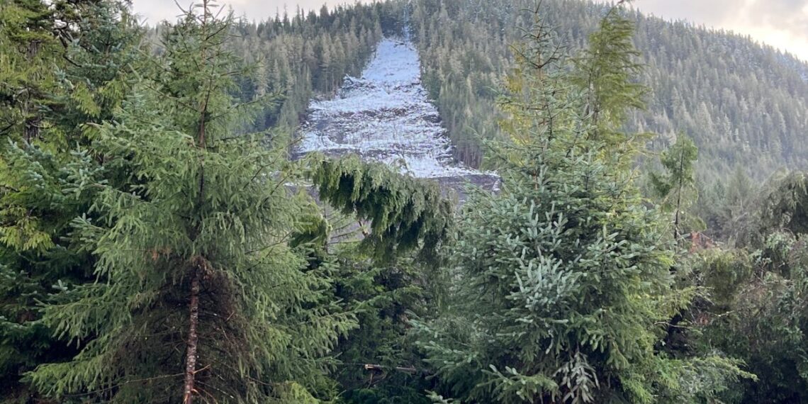 Subsistence foods and hazard mitigation is now included in Wrangell Cooperative Association's disaster declaration