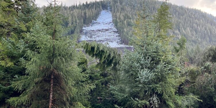 Subsistence foods and hazard mitigation is now included in Wrangell Cooperative Association's disaster declaration