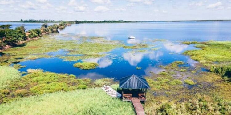 Los Esteros del Iberá son una de las maravillas naturales de la Argentina. Crédito: Ministerio de Turismo de la provincia de Corrientes