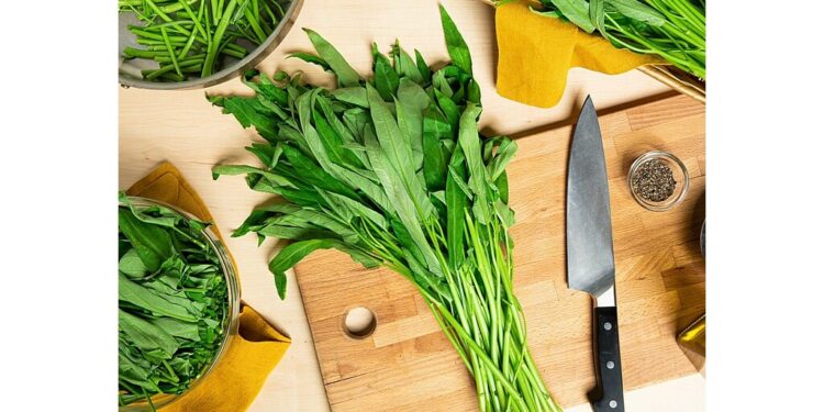 Baldor Specialty Foods Now Adding Commercially Licensed, Legally Grown, Water Spinach to its Diverse Produce Lineup