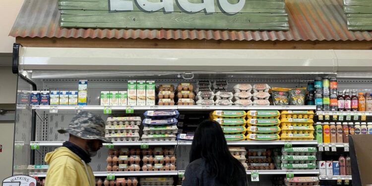 Cal-Maine Foods, largest producer of eggs in US, finds bird flu in chickens at Texas plant