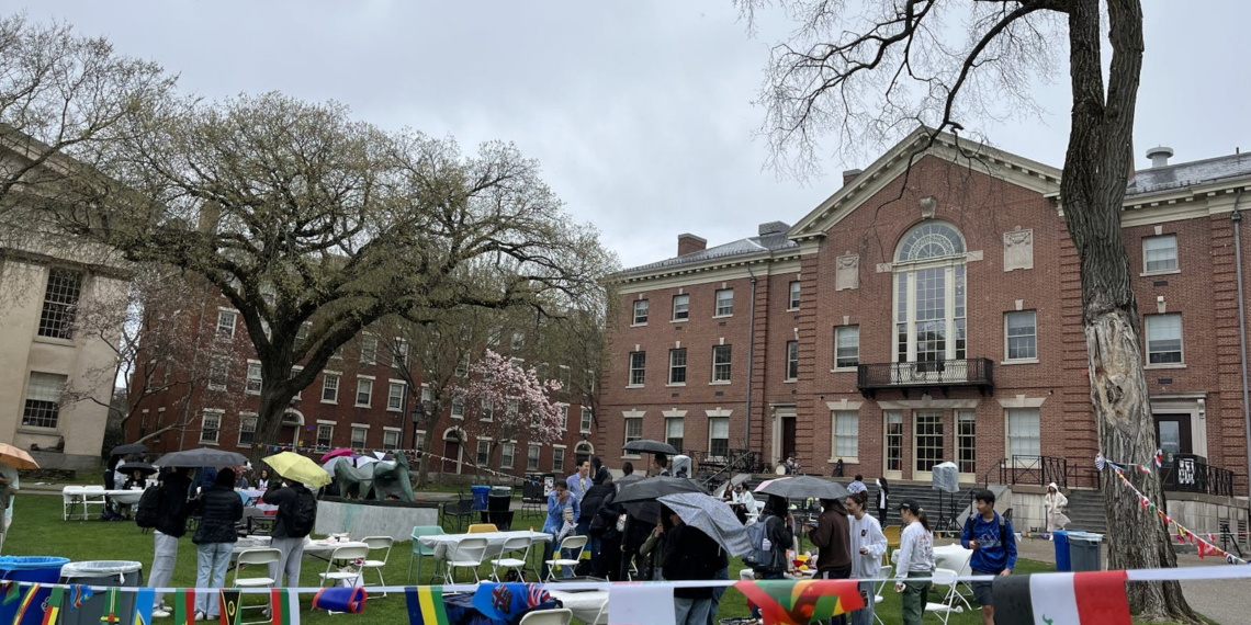 Global Brown Center, Brown Cooking Club host International Festival