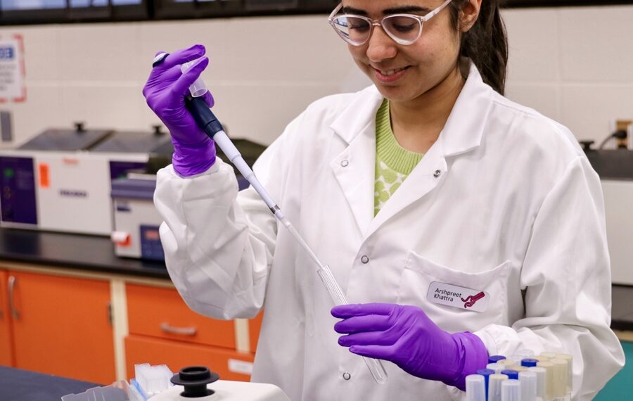 Food scientists are finding ways to preserve food quality and ensure food safety