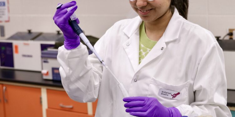 Food scientists develop framework to improve food quality and still kill pathogens