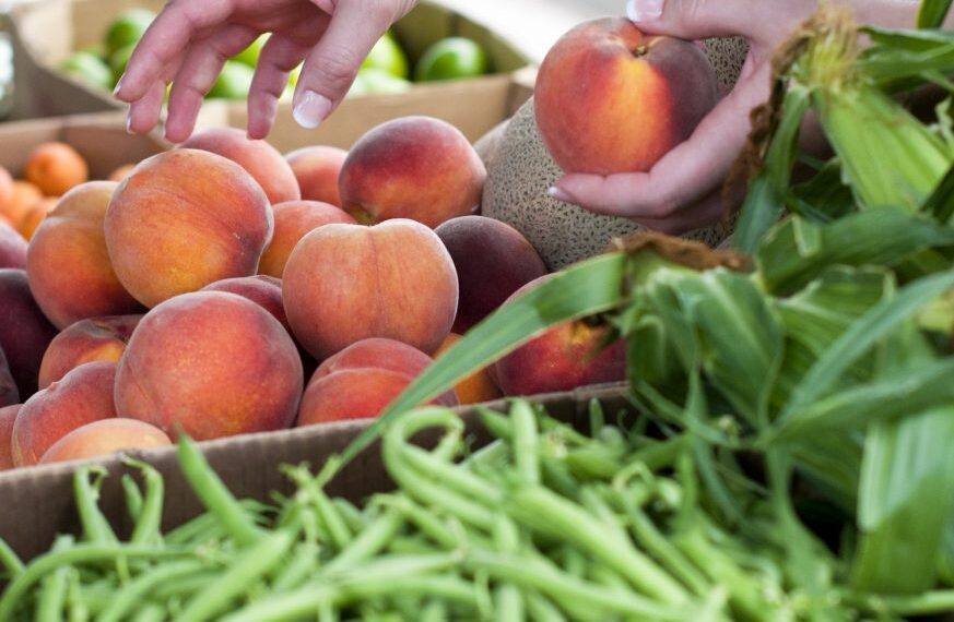Moffat County food security coalition launches survey to understand county’s food needs