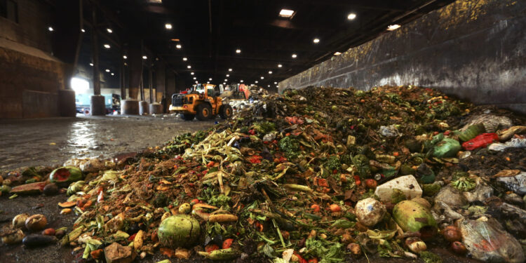 How to curb your food waste