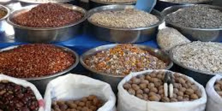 East African Grain Council, TradeMark Africa partner to boost staple foods value chains in East Africa