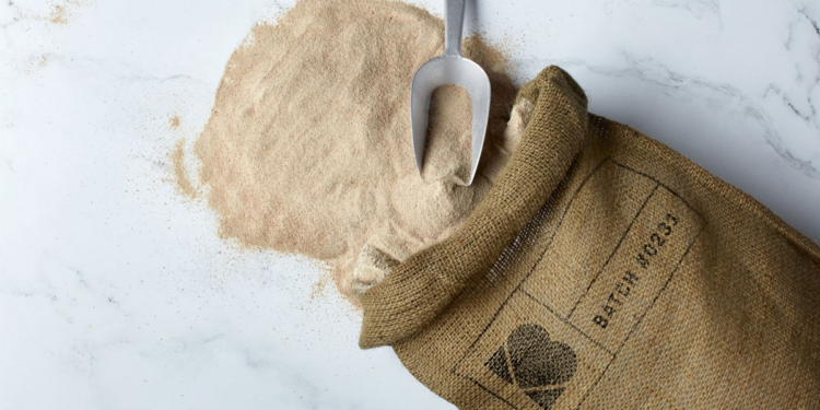 Alternative proteins: Crafting a sustainable pet food future