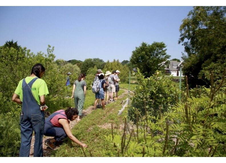 Growing for good: Aquidneck Community Table hosts a spring cleanup educational and advocacy event in support of sustainable local foods and food justice