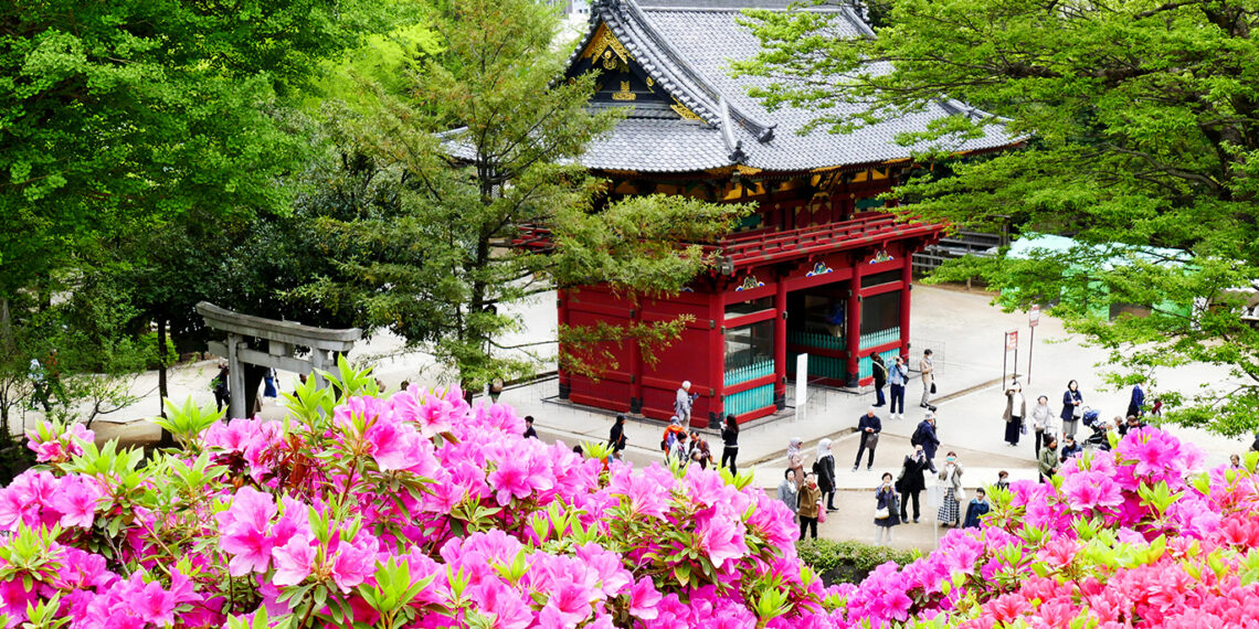 23 best restaurants, cafés, shops and things to do in Yanaka
