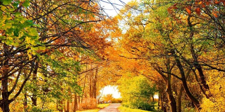 los mejores destinos de Córdoba para recorrer