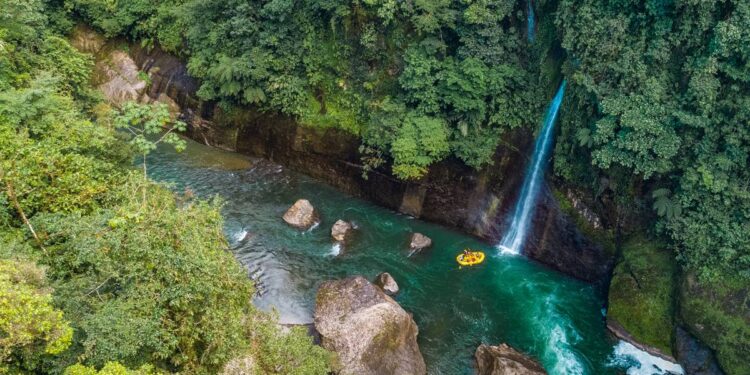 Disfruta con tu familia los encantos ticos este verano – El Financiero