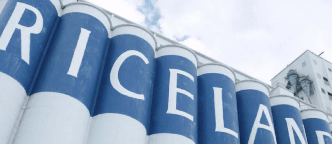 Riceland Foods Carbon Ready Program promotes sustainability practices