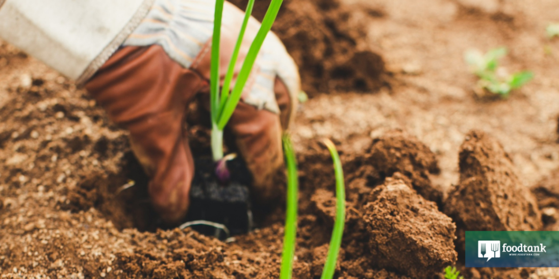 Progress in The Food System Means Empowering Eaters—Today and for Generations to Come – Food Tank