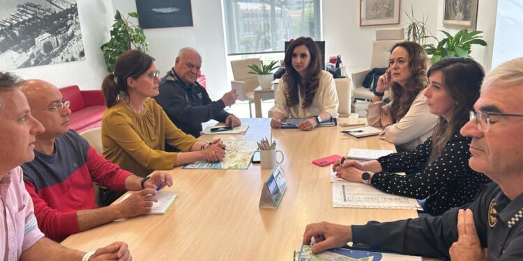 El Ayuntamiento de Alicante habilita lanzaderas en la terminal de cruceros para mejorar la movilidad de los turistas