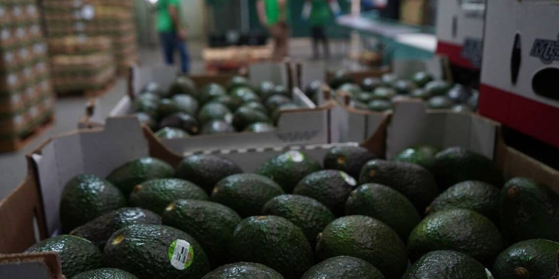 RV Fresh Foods y su sindicato incurrieron en irregularidades, dice STPS por queja laboral - El Sol de México