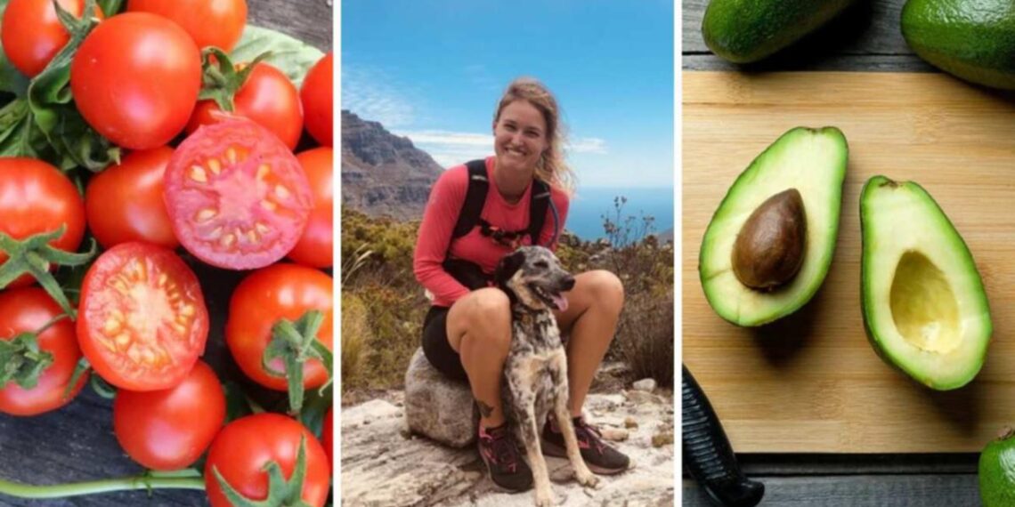 Vet shares the five foods you can feed your dog - that people often think you can’t