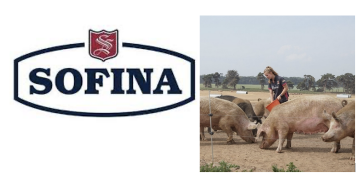 Sofina Foods Europe acquires farms and livestock from Rattlerow Scotland