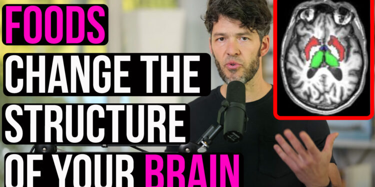 Study Finds Vegetarian Diet Isn't Best for Brain Health