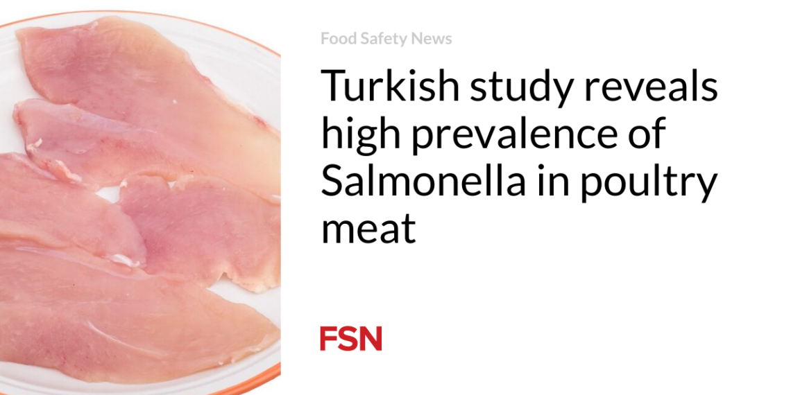 Turkish study reveals high prevalence of Salmonella in poultry meat