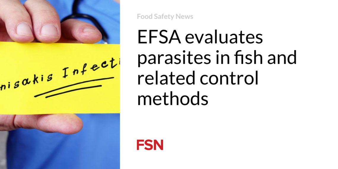 EFSA evaluates parasites in fish and related control methods