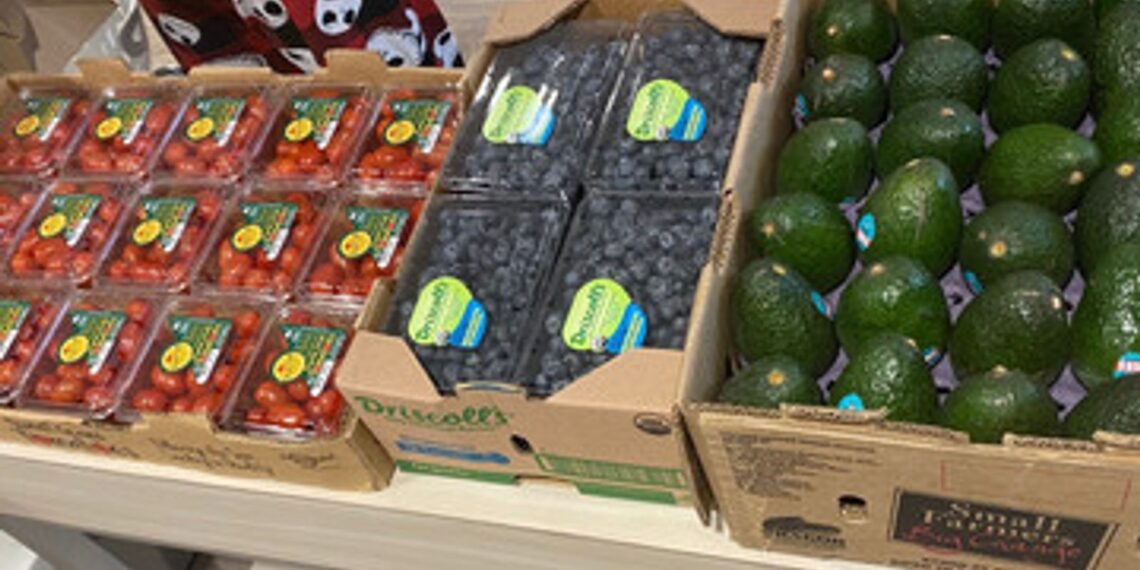 Lori's Natural Foods, Save Rochester partner for Earth Day organic food event