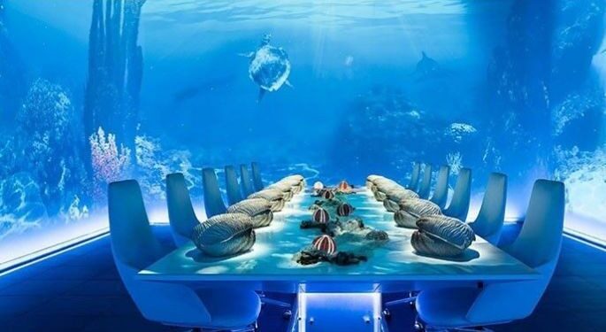 High-end dining in the age of political correctness: An evening at the most expensive restaurant on earth