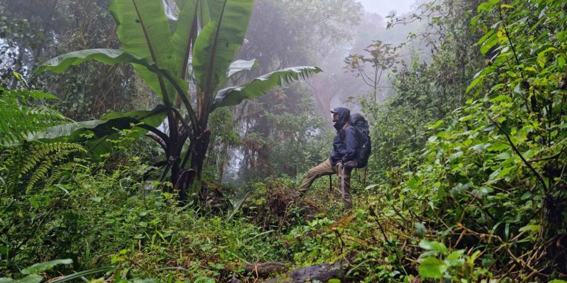 He recorrido África a pie y estos son algunos mitos y curiosidades sobre viajar por este continente