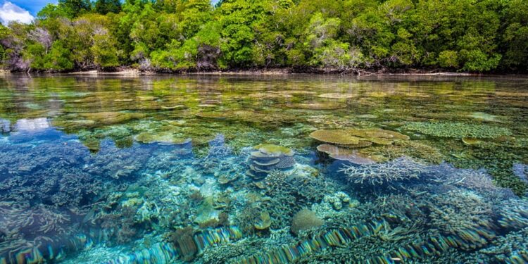 Qué visitar en Indonesia además de Bali y las islas de Komodo