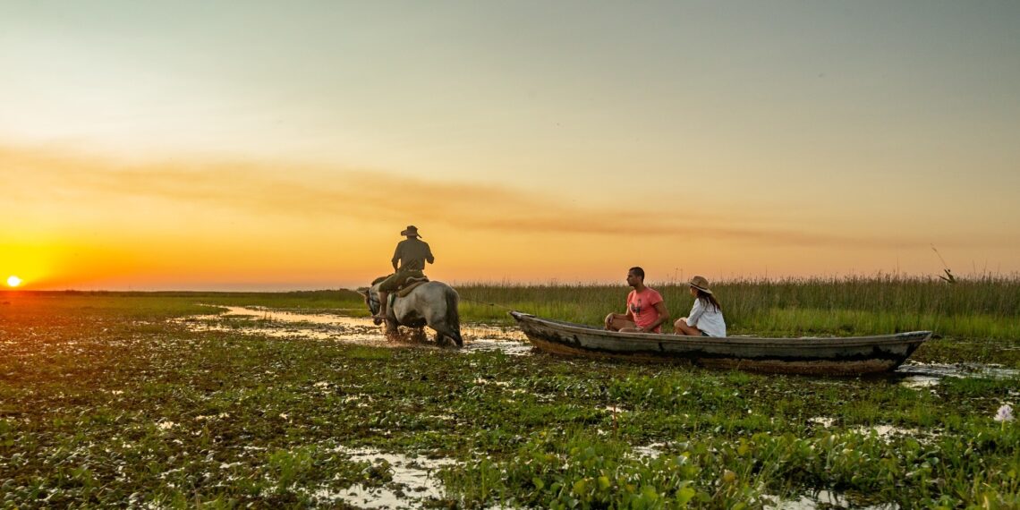 Excursiones en los Esteros del Iberá, pesca en Paso de la Patria y postales del atardecer en Corrientes capital
