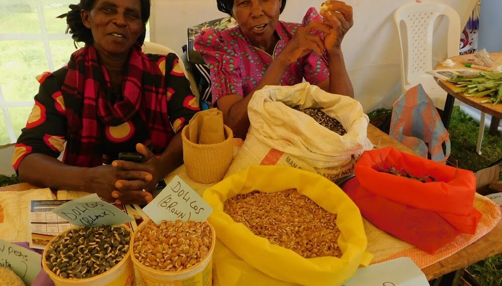 Murang'a's food pharmacies to help beat health conditions