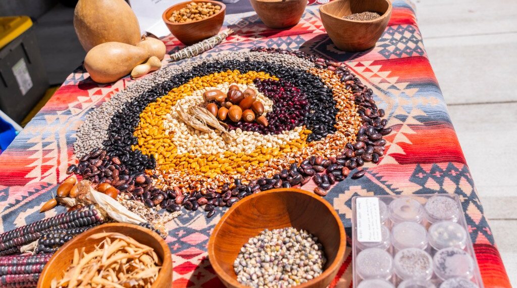 Indigenous Foods Festival at Cal Poly Humboldt – Times-Standard