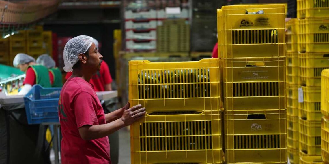 RV Fresh Foods sí violó derechos laborales Grupo Milenio