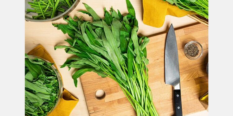 Baldor Specialty Foods adds commercially licensed, legally grown, Water Spinach to its lineup