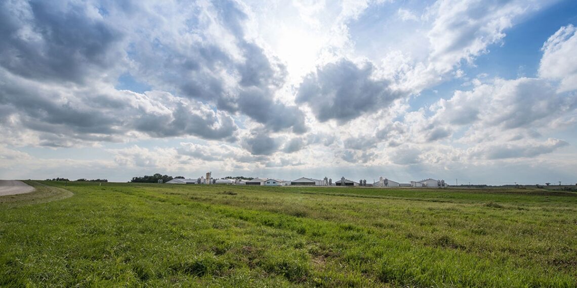 Smithfield Foods unveils its 22nd annual sustainability impact report