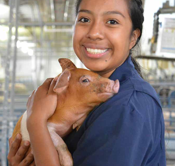 Smithfield Foods' 22nd Annual Sustainability Impact Report: A Testament to Responsible Food Production and Community Support - Swineweb.com