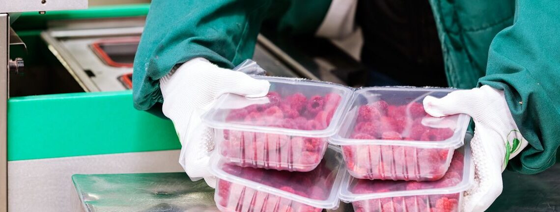 Investors in RCL Foods (JSE:RCL) have unfortunately lost 17% over the last five years