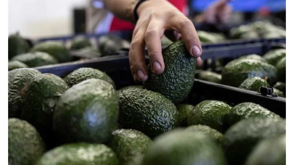 Dudan de investigación de STPS en Fresh Foods