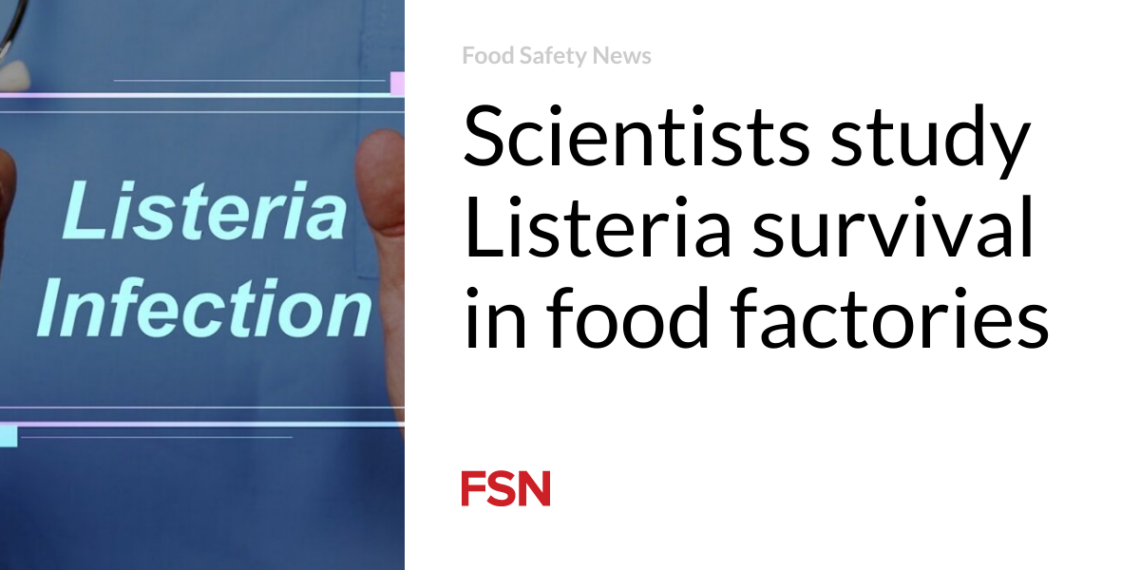 Scientists study Listeria survival in food factories