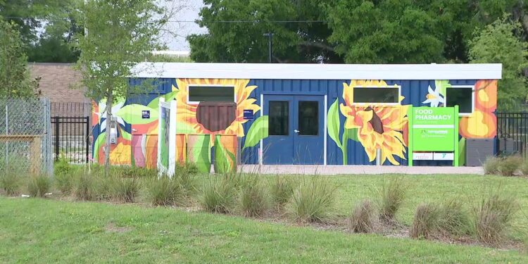 Tampa food pharmacy and community garden helping underserved neighborhoods improve their health and wellness