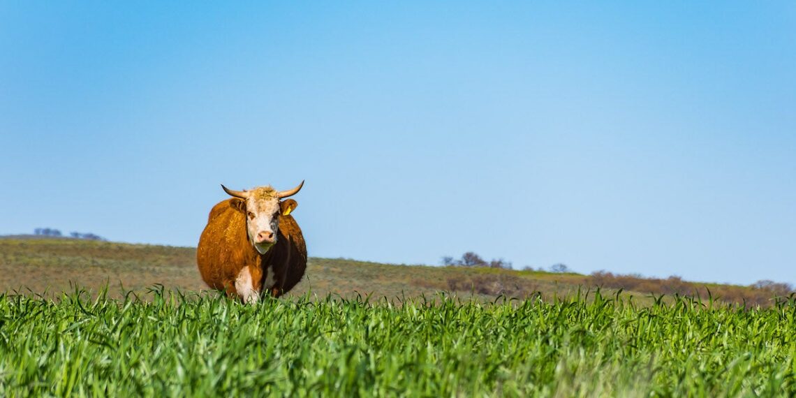 The Role of Food in Sustaining Human and Planetary Health with Dr. Kathryn Bradbury