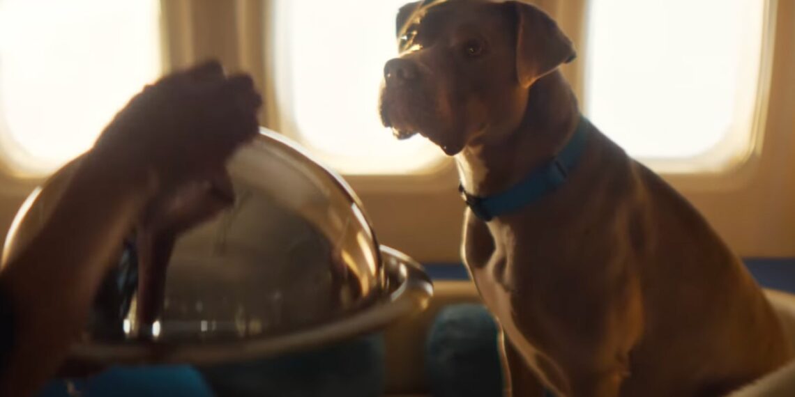 Bark Air