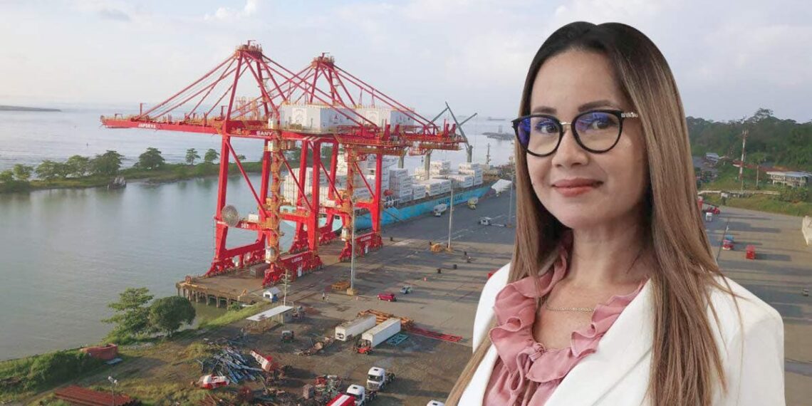 Marina y Terminal de Cruceros para Limón de $854 millones es frenada por Contraloría