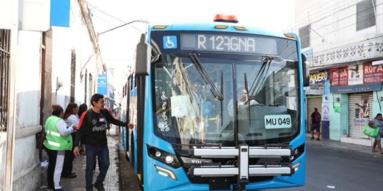 Ruta 50 Sur-Villa Magna de Va y Ven inicia operaciones con viajes gratis en Mérida